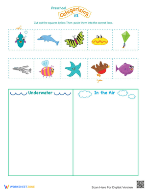 Reading Comprehension: Categorizing Practice Worksheet