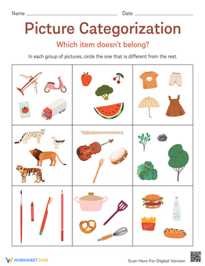 Picture Categorization Worksheet