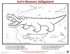 How to Measure Alligators Worksheet