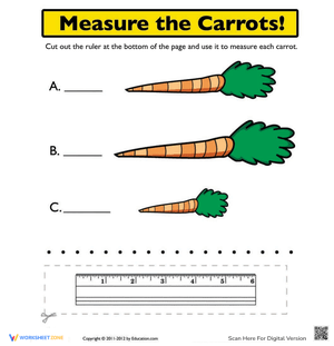 Ruler Measurements Worksheet
