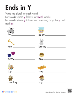 Change Nouns Ending in Y to IES