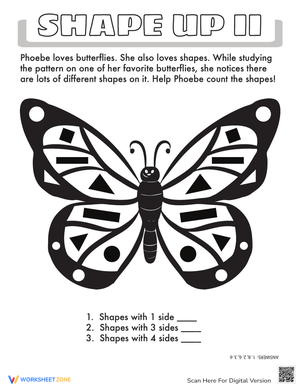 Shape Up II Worksheet