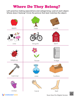 Where Do They Belong? Sorting