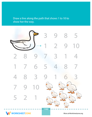 Follow the Number Path Maze