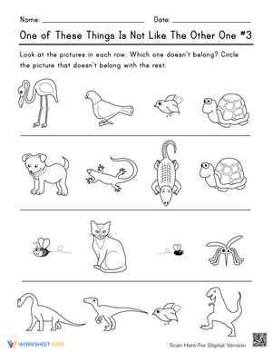 Find the Odd One Out Worksheet