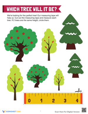 Tree Measurements: Measuring Trees