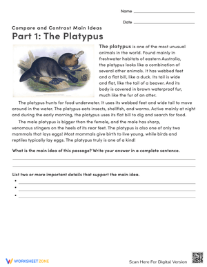 Compare & Contrast: Platypus - Animal Features