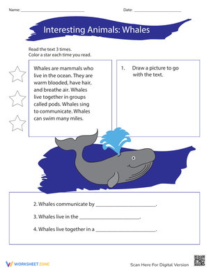 Interesting Animals: Learn About Whales