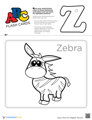 ABC Flashcards: Letter Z