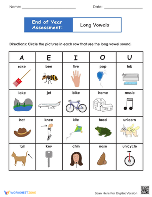 End of Year Assessment: Long Vowels