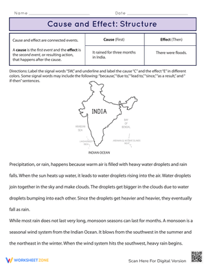 Understanding Cause and Effect Structure