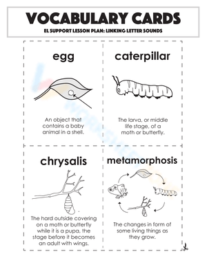 Vocabulary Cards: Linking Letter Sounds