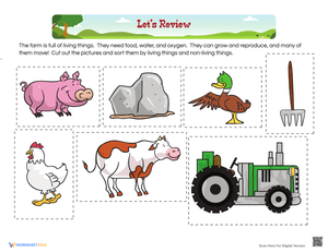 Sorting on the Farm Worksheet