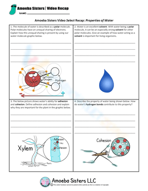 Water Properties: An Amoeba Sisters Science Guide