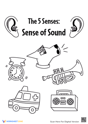 Exploring the Sense of Sound - Fun Worksheet