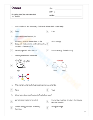 Quizizz Biomolecules and Macromolecules Worksheet