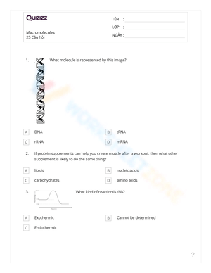 Explore Science Macromolecules Worksheet