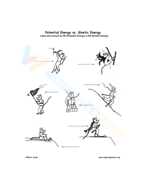 Potential and Kinetic Energy Labeling Activity
