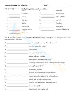 Comprehensive Macromolecule Review Worksheet for Students