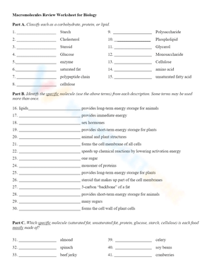 Comprehensive Review on Macromolecules for Biology