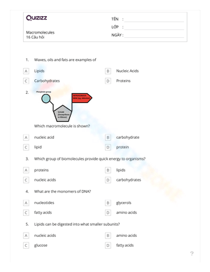 Science 9: Macromolecules Worksheet for Biology