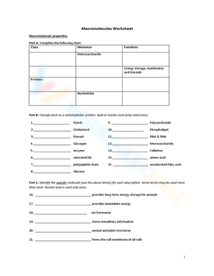 Macromolecules Practice Worksheet for Biology Students