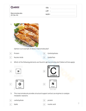 Science: Macromolecule Worksheet for Biology Class