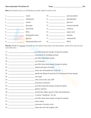 Biology Review: Macromolecules Review Worksheet