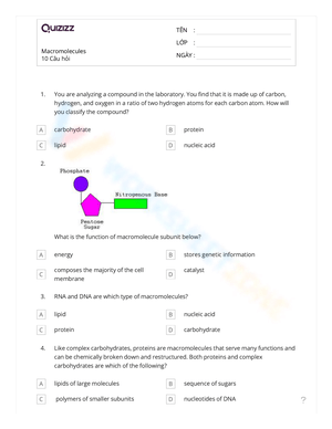 Macromolecules Worksheet for Biology Education