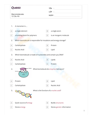 Review Key Concepts with Macromolecules Quiz