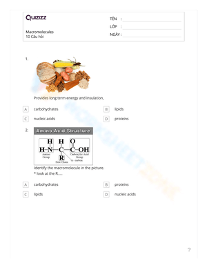 Macromolecules Quiz: Test Your Biology Knowledge