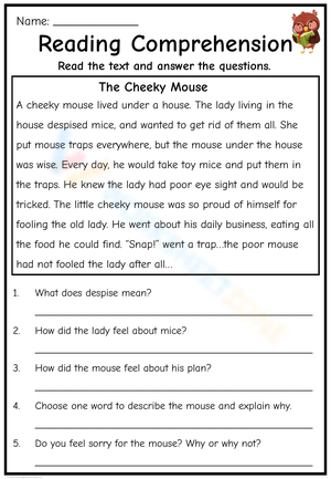 The Cheeky Mouse Reading Comprehension 