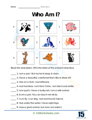 Wildlife Sleuths Worksheet