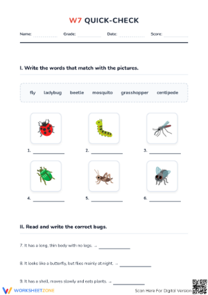 Grade 5 Insect Vocabulary & Grammar — Printable Quick-Check