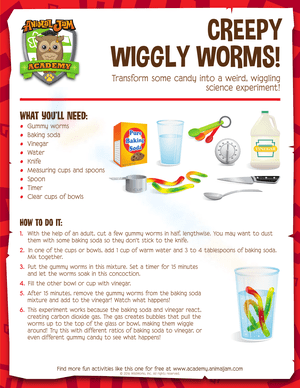 Grade 1 Halloween Science Worksheets Grade 1 Halloween Science Worksheets