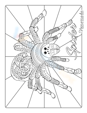 Create Spider Zentangle Art