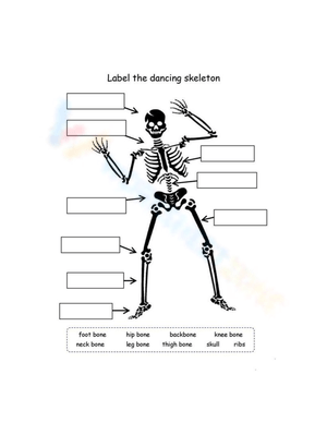 Label the Dancing Skeleton Anatomy Worksheet