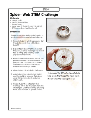 Create a Spider Web STEM Activity!