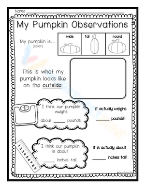 My Pumpkin Observations