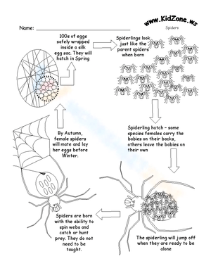 Spider Halloween Science Activity