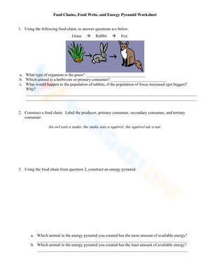 Food Chains, Food Webs, and Energy Pyramid Worksheet