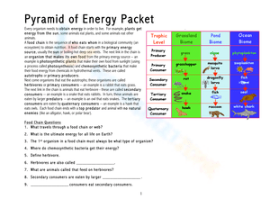 Pyramid of Energy Worksheet Packet