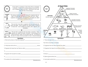 Food Webs and Energy Pyramid Worksheet