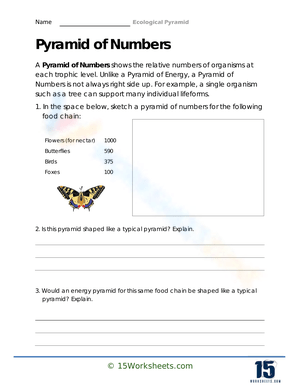 Number Pyramid Math Worksheet