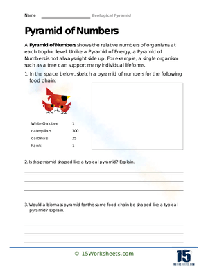 Organisms and Trophic Levels Worksheet