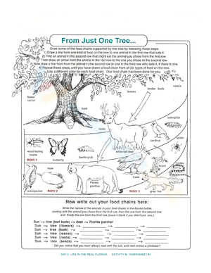Biotic & Abiotic Factors from One Tree Worksheet