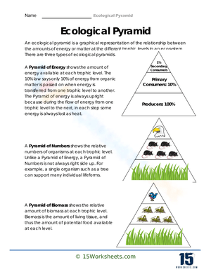 Complete Reference Map Worksheet