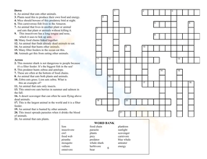 Solve Puzzle with Energy Pyramid Worksheet