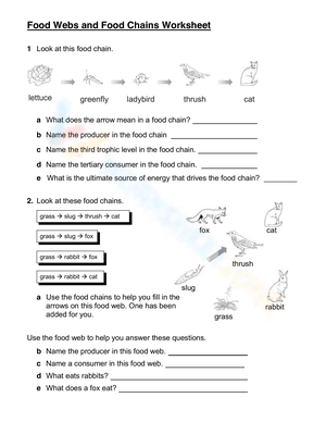 Exploring Food Webs and Food Chains