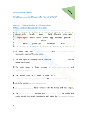 Reproduction in Flowers: Plant Life Cycle